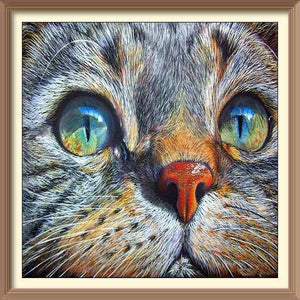 Tabby Cat - Diamond Paintings - Diamond Art - Paint With Diamonds - Legendary DIY - Best price - Premium - Free Shipping - Arts and Crafts