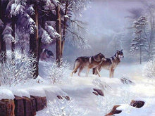 Snow Wolfs 1 - Diamond Paintings - Diamond Art - Paint With Diamonds - Legendary DIY  | Free shipping | 50% Off
