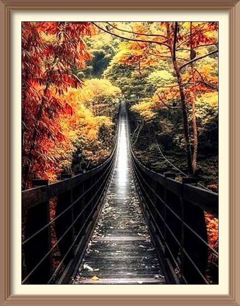 Autumn In The Forest - Diamond Paintings - Diamond Art - Paint With Diamonds - Legendary DIY  | Free shipping | 50% Off