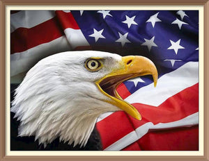 Eagle and The USA Flag - Diamond Paintings - Diamond Art - Paint With Diamonds - Legendary DIY  | Free shipping | 50% Off