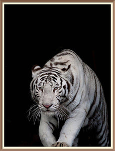 Black And White Tiger - Diamond Paintings - Diamond Art - Paint With Diamonds - Legendary DIY  | Free shipping | 50% Off