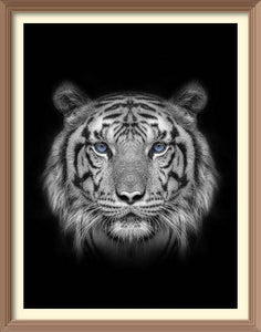 Black And White Tiger Face - Diamond Paintings - Diamond Art - Paint With Diamonds - Legendary DIY  | Free shipping | 50% Off