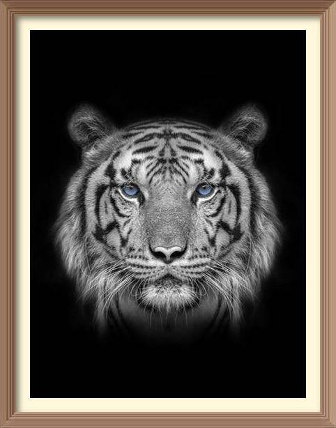 Black And White Tiger Face - Diamond Paintings - Diamond Art - Paint With Diamonds - Legendary DIY  | Free shipping | 50% Off