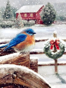 Blue Bird Under The Snow