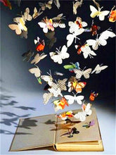 Butterflies & Books 2