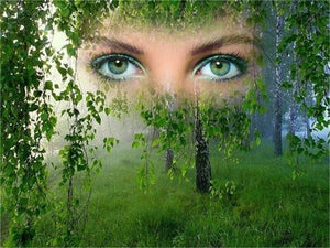 Forest Eyes