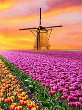 Windmill In The Flower Field 3