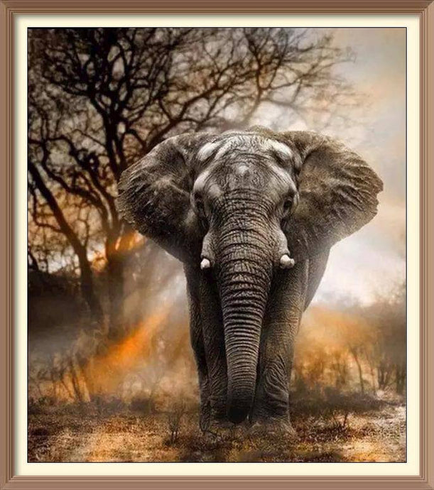African Elephant - Diamond Paintings - Diamond Art - Paint With Diamonds - Legendary DIY - Best price - Premium - Free Shipping - Arts and Crafts