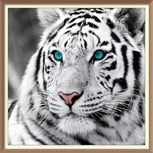 Blue Eyes White Tiger - Diamond Paintings - Diamond Art - Paint With Diamonds - Legendary DIY - Best price - Premium - Free Shipping - Arts and Crafts
