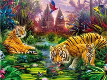 Tiger Family 3