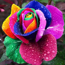 Rainbow Roses in the Morning - Diamond Paintings - Diamond Art - Paint With Diamonds - Legendary DIY  | Free shipping | 50% Off