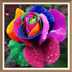 Rainbow Roses in the Morning - Diamond Paintings - Diamond Art - Paint With Diamonds - Legendary DIY - Best price - Premium - Free Shipping - Arts and Crafts