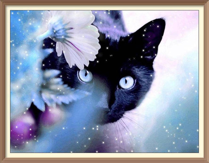 Black Cat Shimmer - Diamond Paintings - Diamond Art - Paint With Diamonds - Legendary DIY  | Free shipping | 50% Off