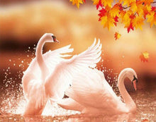 Swans Fall