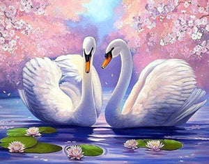 Swans Spring 2
