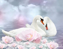 Swans and Roses 1