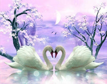 Swans Spring 3