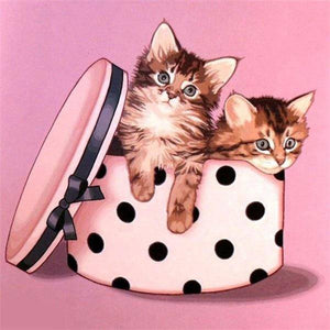2 Kittens In The Box - Diamond Paintings - Diamond Art - Paint With Diamonds - Legendary DIY  | Free shipping | 50% Off