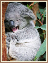 Happy Koala - Diamond Paintings - Diamond Art - Paint With Diamonds - Legendary DIY  | Free shipping | 50% Off