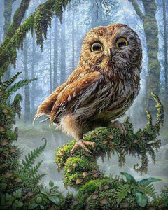 Owl In Forest - Diamond Paintings - Diamond Art - Paint With Diamonds - Legendary DIY  | Free shipping | 50% Off