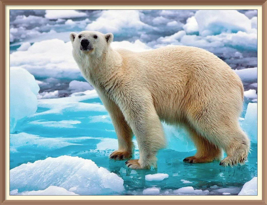 Polar Bear On Ice - Diamond Paintings - Diamond Art - Paint With Diamonds - Legendary DIY  | Free shipping | 50% Off