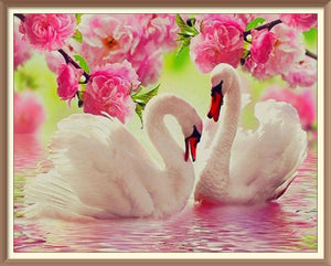 Swans Spring 4