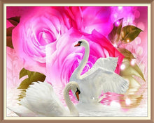 Swans and Roses 2