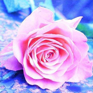 Pink Rose - Diamond Paintings - Diamond Art - Paint With Diamonds - Legendary DIY  | Free shipping | 50% Off