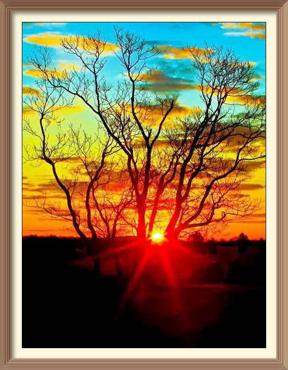 Sunset behind the Tree - Diamond Paintings - Diamond Art - Paint With Diamonds - Legendary DIY - Best price - Premium - Free Shipping - Arts and Crafts